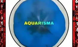 1 Pcs Cangkang Bulu Babi Pipih Dolar Pasir Echinoidea Clypeasteroida Sand Dollar Biru Grade A+