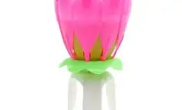 Lilin Lotus Ulang Tahun Musik