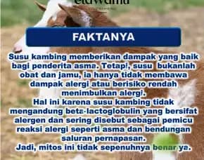 Jual Susu Kambing Murni Terdekat Jakarta Utara,Murah & Bpom, Pt. Etsa Bregas Makmur