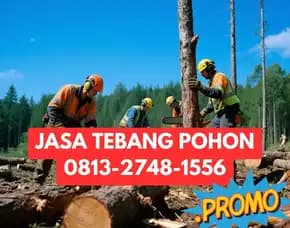 Jasa Tebang Pohon Kulon Progo