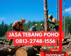 Jasa Tebang Pohon Ngemplak