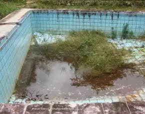 Jasa Bersikan Kolam Renang Berlumut Purwokerto