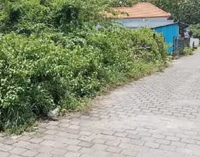 Dijual 2 Are, Jl. Gubug Sari Kutuh Utara Sma Negeri 1 Kuta Selatan