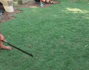 Jual Rumput Lapangan Sepak Bola Kota Magelang Terdekat