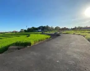 Dijual 4,2 Are, Jl. Kebon Raya Tuka Buduk Mengwi Badung