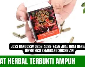 Mantul!! 0856-4028-7456 Jual Obat Herbal Hipertensi Semarang Sinshe Zin