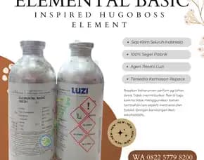 Grosir Bibit Parfum Luzi  Tebo