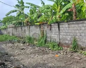 Dikontrakan 5,4 Are, Jl. Pengiyasan Danau Tempe Sanur Kauh Denpasar