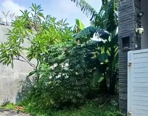 Dijual 1,14 Are, Jl. Gunung Agung Gg. 1c Pemecutan Denpasar Barat