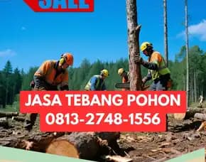 Jasa Tebang Pohon Patuk