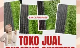 0896-5297-9519 (Bu Diana), Tempat Jual Rumput Sintetis Bengkulu Talo