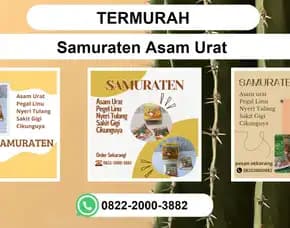 Termurah, 0822-2000-3882 Distributor Samuraten Asam Urat Gresik