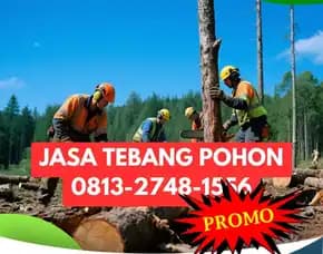 Jasa Tebang Pohon Imogiri