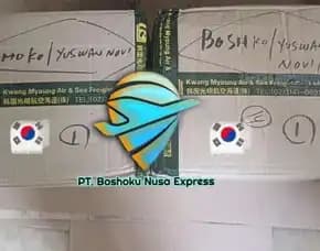 Jasa Import Masker To Indonesia Door To Door