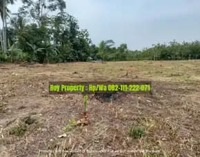Dijual Tanah Di Kalianda Lampung Selatan Luas 4 Ha Di Pinggir Jalan Utama