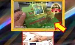 0878-8005-8622 Obat Alami Menurunkan Kolesterol Di Kota Palu