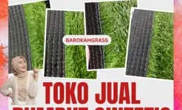0896-5297-9519 (Bu Diana), Tempat Beli Rumput Sintetis Medan Dolok Masihul