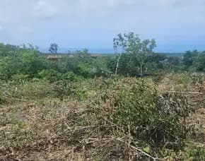 Dijual 98,55 Are, Jl. Tundun Penyu Dipal Pantai Balangan Jimbaran Atas Kuta Selatan