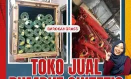 0896-5297-9519 (Bu Diana), Agen Rumput Sintetis Makassar Bu Dianajo Sabbang Paru