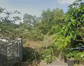 Dijual 50 Are, Jl. Lerrangkis Rurung Agung Goa Gong Ungasan Kuta Selatan