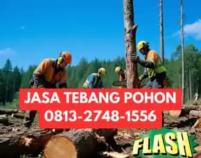 Jasa Tebang Pohon Temon