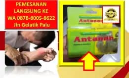 Wa: 0878-8005-8622 Obat Kolesterol Dari Bahan Alami Di Kota Palu