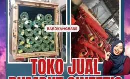 0896-5297-9519 (Bu Diana), Grosir Rumput Sintetis Medan Kota Sibolga
