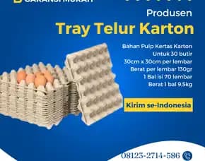 Tempat Telor (Tray Telur) - Telur Selamat Kirim Ke Sekotong Lombok Barat (24)