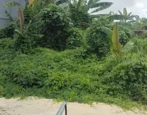 Dijual 2,2, 2,85, & 4,25 Are, Jl. Suri Permai Raya Umah Buluh Kayu Tulang Utara Canggu Kuta Utara