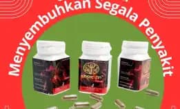 Eliksir Dewata - 0856-4028-7456 Jual Obat Herbal Darah Tinggi Sinshe Zin Semarang Pt Dewa Obat
