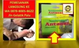 Wa: 0878-8005-8622 Obat Kolesterol Alami Tradisional Zaidul Akbar Di Kota Palu