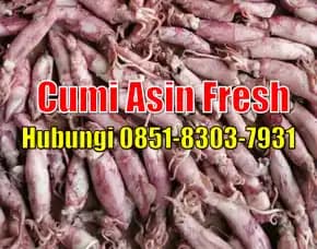 Fresh Segar, Jual Cumi Asin Baby Cumi Jakarta Barat
