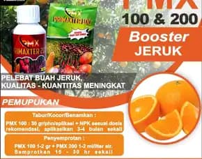 Pmx 100 & Pmx 200 Booster Jeruk Super Manis