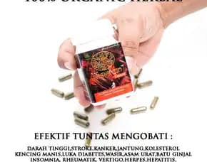 Obat Ampuh 💊 0856-4028-7456 Jual Obat Herbal Hipertensi Semarang Sinshe Zin