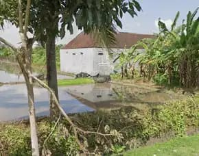Dijual 45 Are, Jl. Soka Raya Denpasar Singaraja Baha Mengwi Badung
