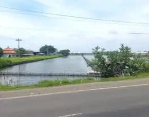 Dijual Tanah Kosong Di Desa Mororejo, Jawa Tengah