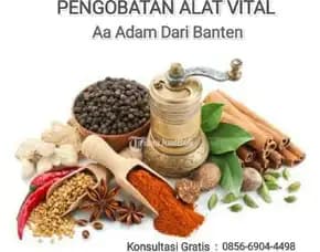 Pengobatan Vitalitas Pria Jambi Aa Adam Terbaik Wa 0856-6904-4498