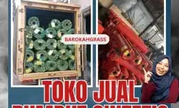 0896-5297-9519 (Bu Diana), Agen Rumput Sintetis Bali Karang Asem Rendang
