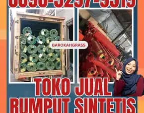 0896-5297-9519 (Bu Diana), Penjual Rumput Sintetis Aceh Tamiang Bendahara