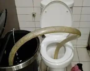 Ahli Wc Mampet Bergaransi