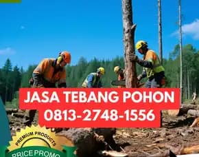 Jasa Tebang Pohon Panggang