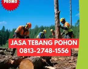 Jasa Tebang Pohon Bantul