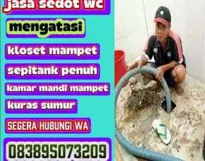 Jasa Sedot Wc Banjarneqara