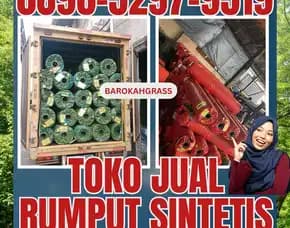 0896-5297-9519 (Bu Diana), Penjual Rumput Sintetis Padang Palupuh