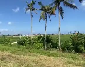 Dijual 5 Are, Jl. Raya Canggu Bypass Tanah Lot Pererenan Mengwi