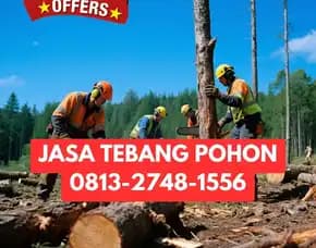 Jasa Tebang Pohon Cangkringan