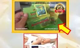 0878-8005-8622 Obat Asam Urat Normal Wanita Di Kota Palu