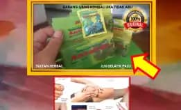 Wa: 0878-8005-8622 Obat Kolesterol Alami Yang Bagus Di Kota Palu