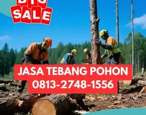 Jasa Tebang Pohon Rongkop