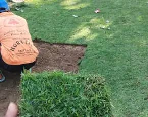Jual Rumput Lapangan Sepak Bola Boyolali Termurah
